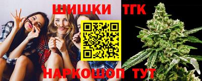 шишки Изобильный