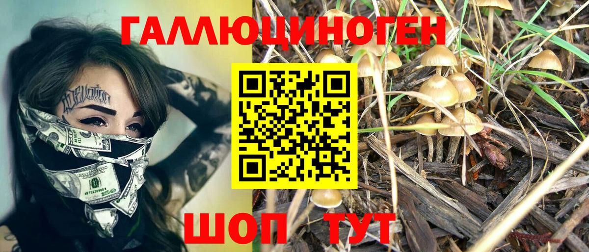 Псилоцибиновые грибы Psilocybe  Вход с VPN  Лесосибирск  Псилоцибиновые грибы ЛСД 